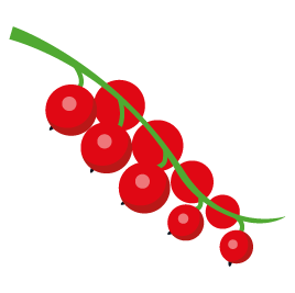 Johannisbeeren